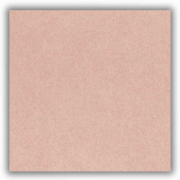 Salsa Velours beige NR 1310 Messeteppich B1 mit Folie