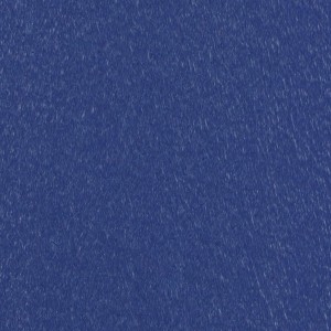 PVC Expotrend B1 - Rutschsicherheit R11
